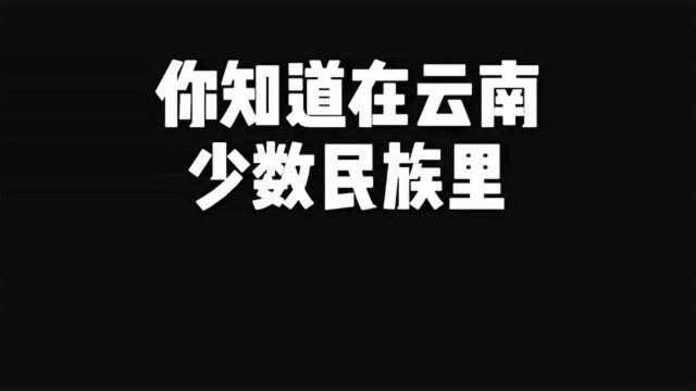 你们知道,云南少数民族里面,人口最多的是哪个民族吗?