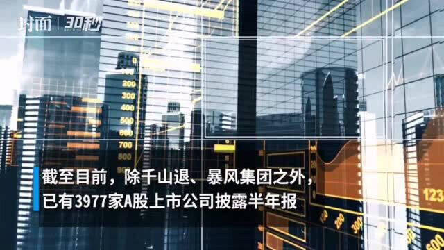 30秒 | A股中报大数据:超2000家公司业绩下滑,谁在赚钱谁在巨亏?