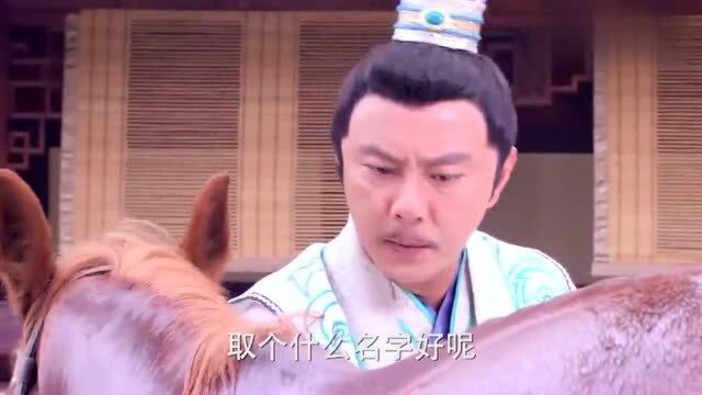 程咬金给汗血宝马起名字,竟把妻子的名字拿来用,真是不要命