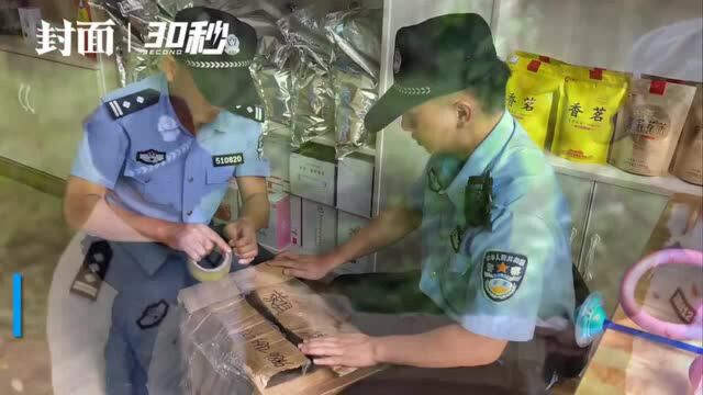 30秒|带臭味“小家伙”闯入居民店铺 竟是国家三有保护动物果子狸