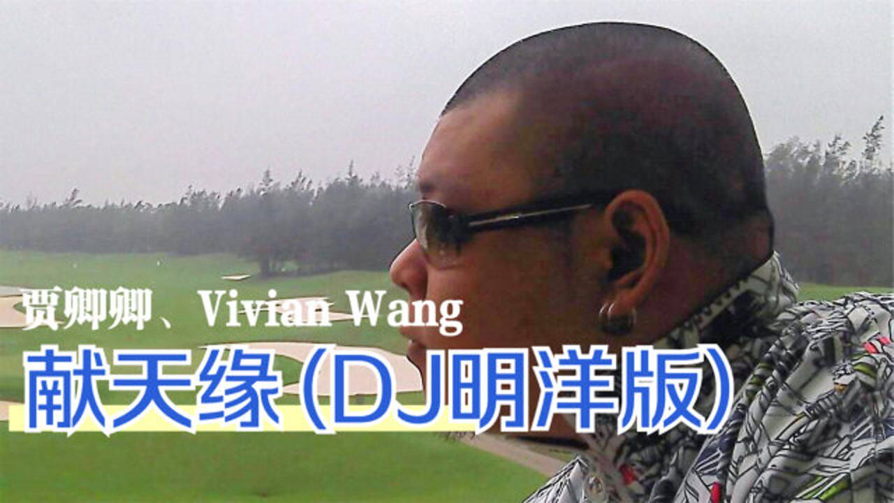 贾卿卿,vivian wang - 献天缘 (dj明洋版)