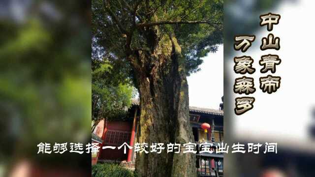 今2020年九月十二日降生的宝宝起名字的关键字和出生的最佳时间