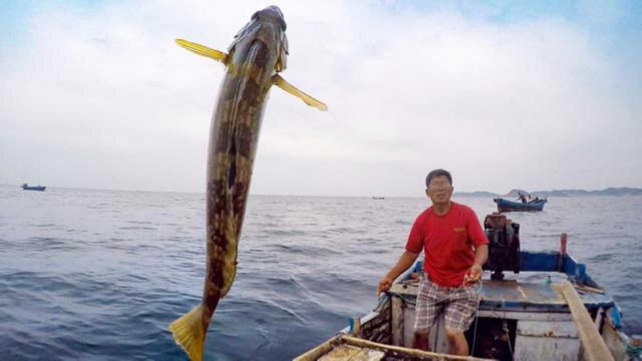 山东蓬莱——北隍城岛赶海钓鱼