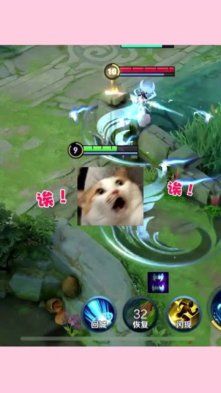 狗子酱:狗子队长我狗子就这样痛失了爱情!_腾讯视频