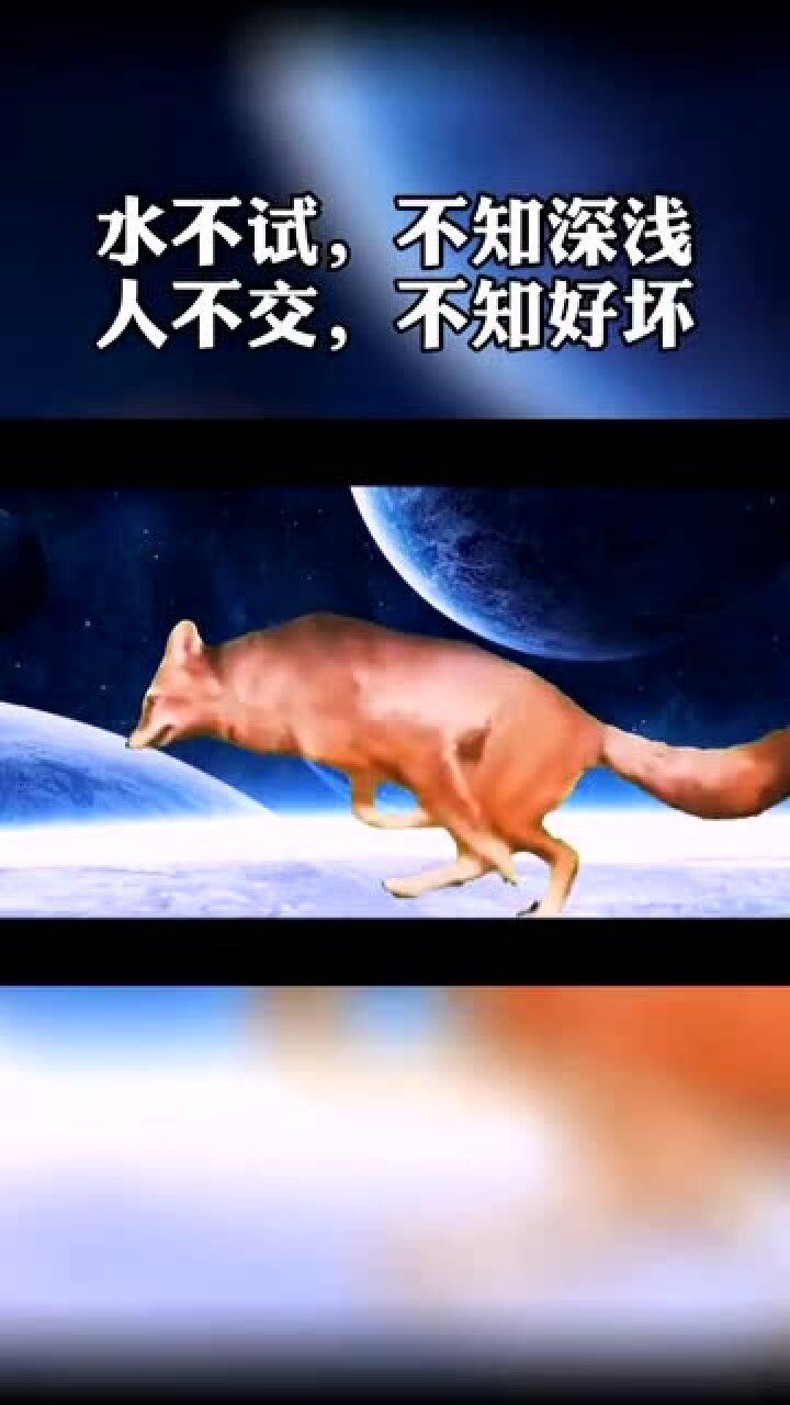 水不试不知深浅人不交不知好坏说得好不如做的好