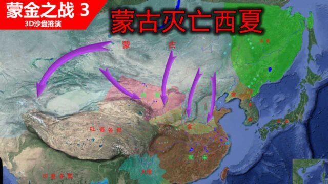 (蒙金之战3)蒙古20万骑兵灭亡200多万人口的西夏,党项族几乎灭族