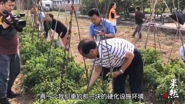 果然视频|共享农场、休闲度假服务…金融如何推动乡村产业振兴?