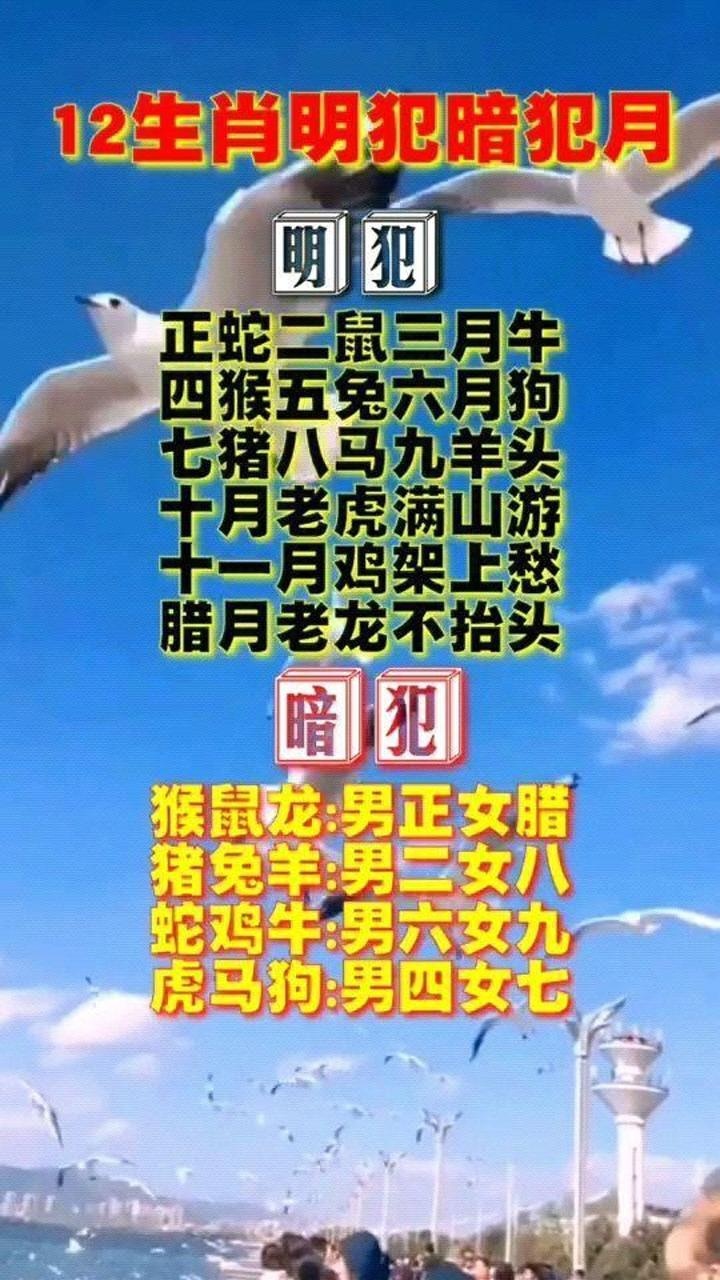 十二生肖明犯暗犯月