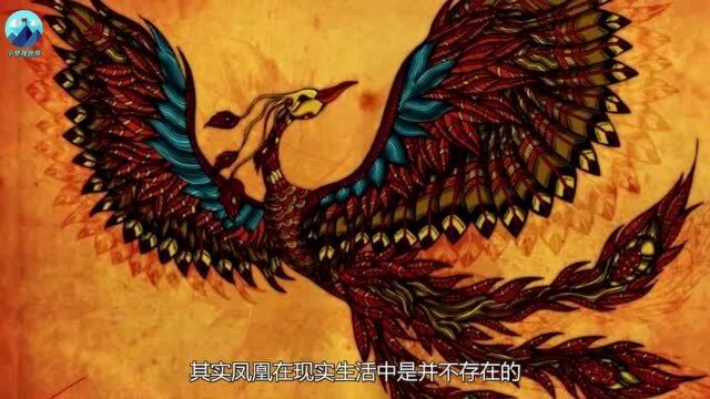 真的“金色凤凰”?英国出现神秘鸟类,样子和中国的凤凰相似!