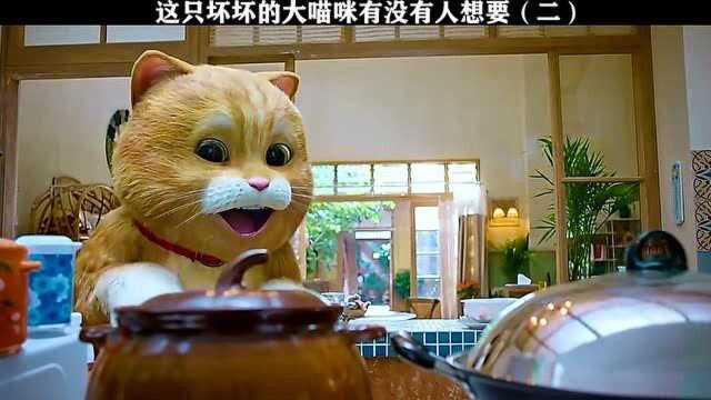 这只坏坏的猫来了,你想要吗