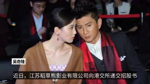 吴奇隆刘诗诗夫妻店将上市?3年收入近20亿,赵丽颖也从中获益?