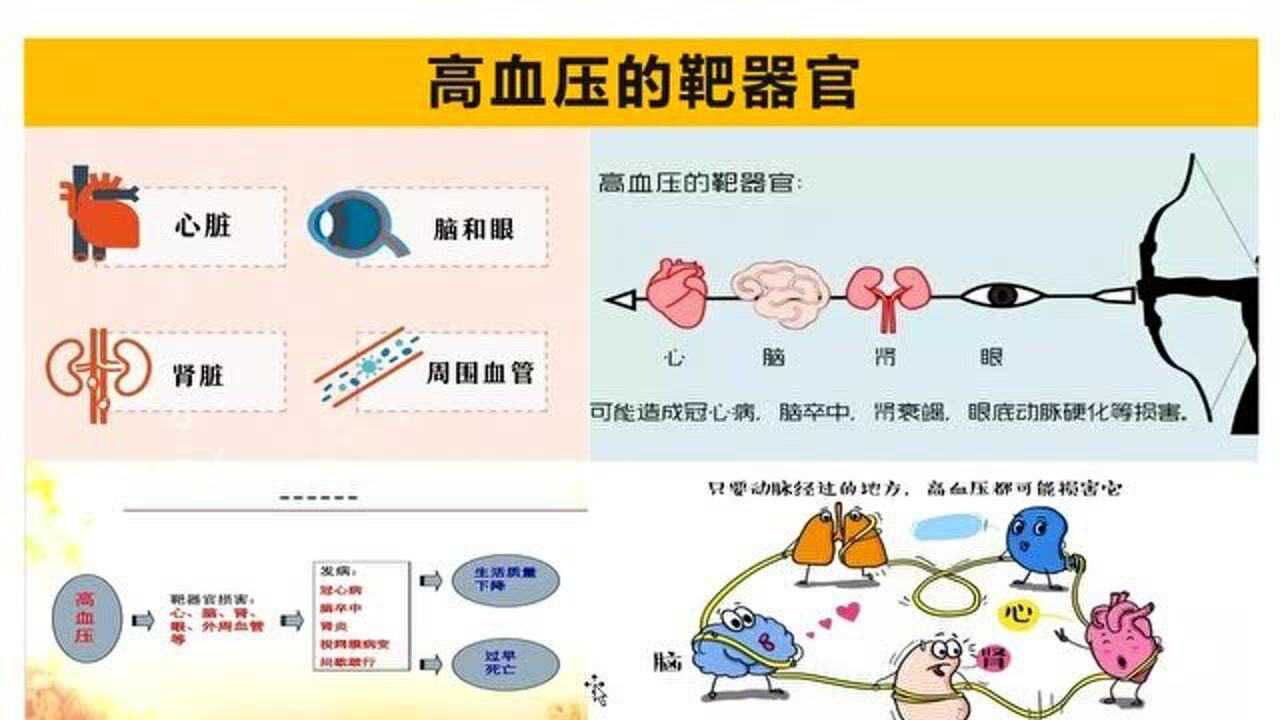高血压有哪些危害?会损伤这4个靶器官,了解一下详情吧_高清1080P在线观看平台_腾讯视频