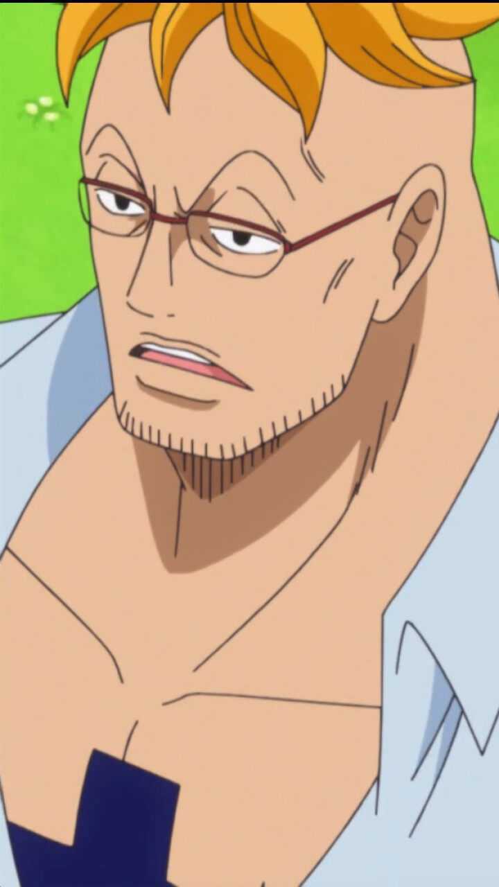 海贼王:马尔科讲述威布尔母子