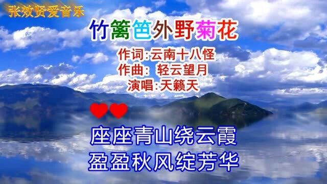 天籁天演唱《竹篱笆外野菊花》缕缕幽香散入千万家