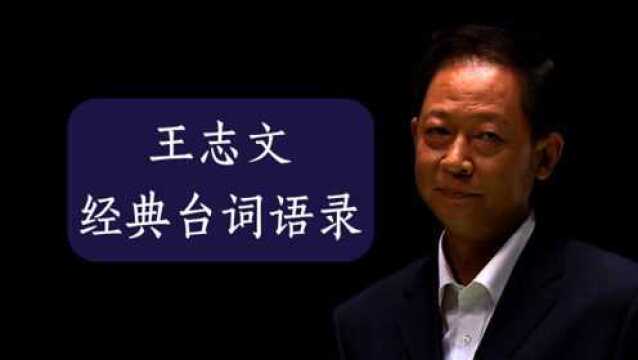 黑冰王志文原声独白,经典台词无出其右,字字清晰宛如教科书