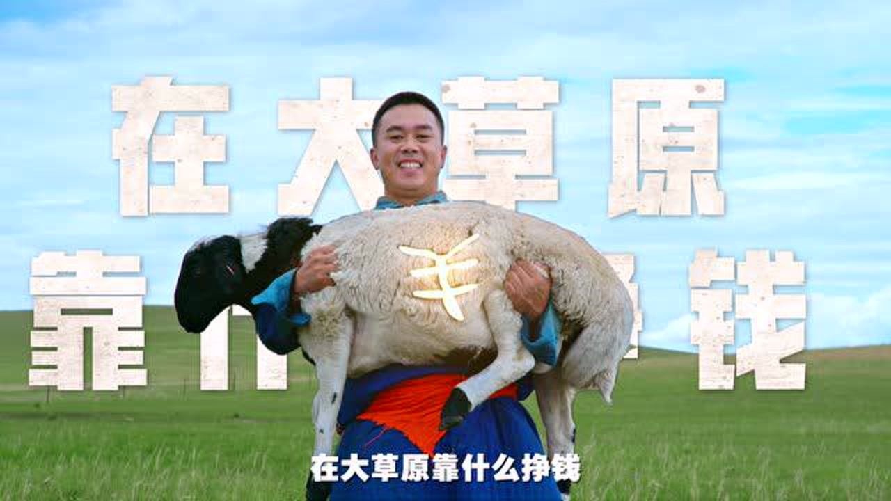 羊倌的致富路_高清1080P在线观看平台_腾讯视频