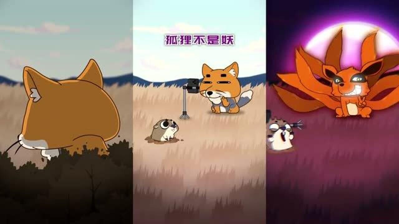 摩登大自然藏狐来凑热闹啦