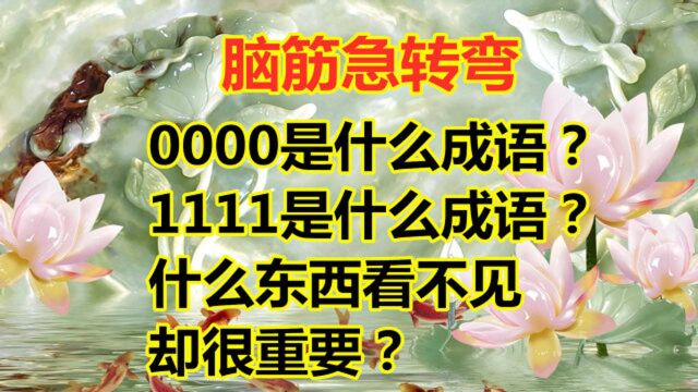 脑筋急转弯:0000是什么成语,大神1秒说出答案