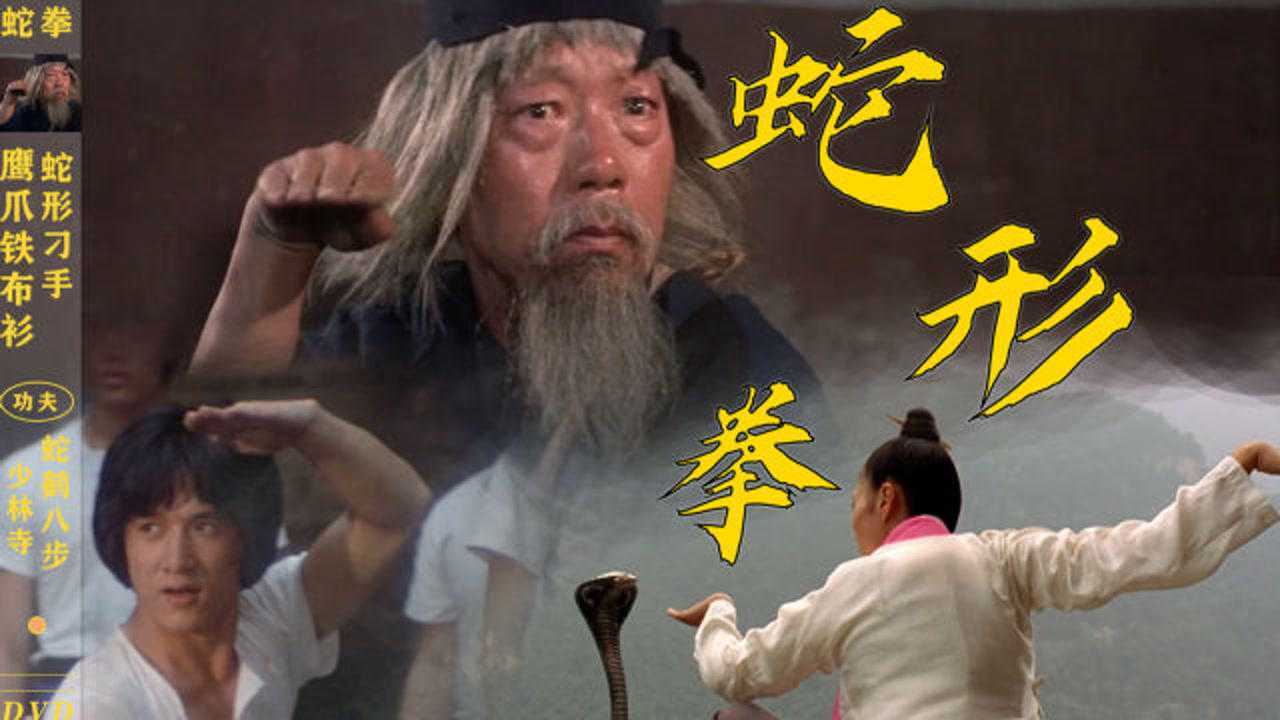 蛇形拳属象形拳分南北拳少林五拳之一以巧快著称