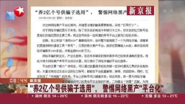 新京报:“养2亿个号供骗子选用”,警惕网络黑产“平台化”