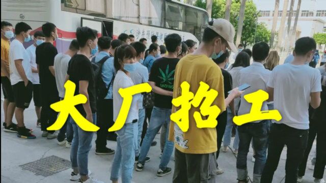 深圳厂妹多的工厂招工,小伙应聘时与现场妹子交流心得,感觉自己要恋爱啦