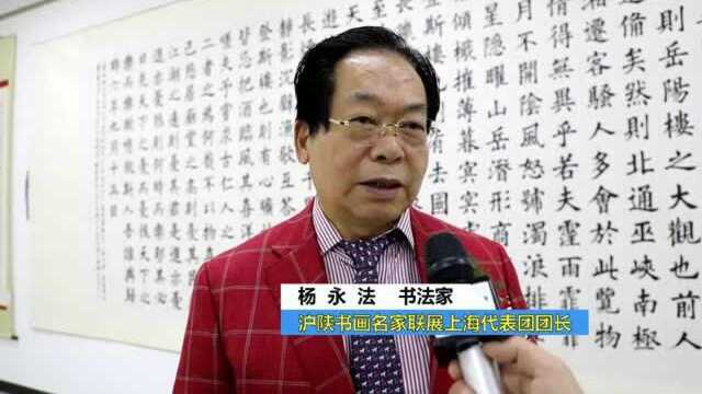 沪陕书画名家联展上海代表团团长杨永法接受CCTV采访