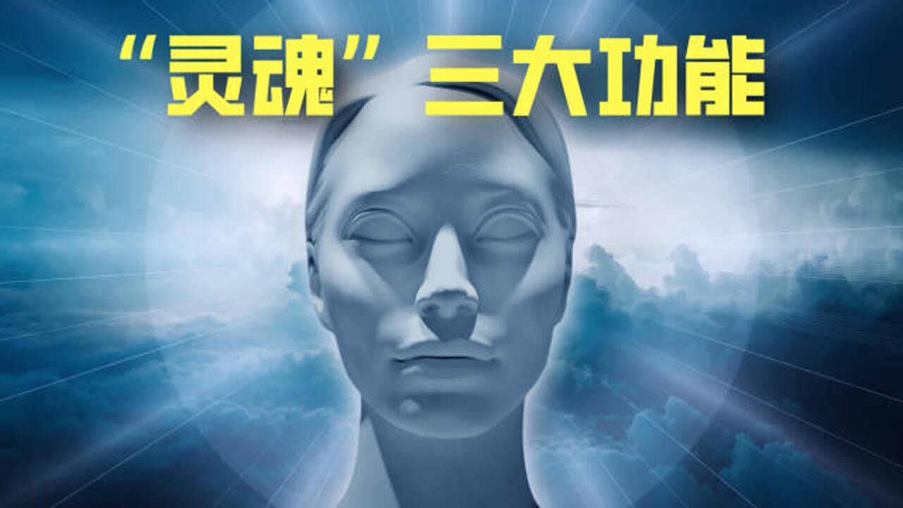 灵魂在我们身体有什么作用看亚里士多德如何定义灵魂