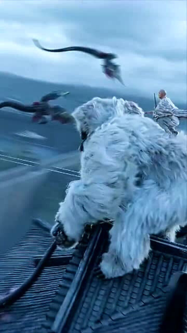 狄仁杰四大天王这白毛大猩猩太威武霸气了