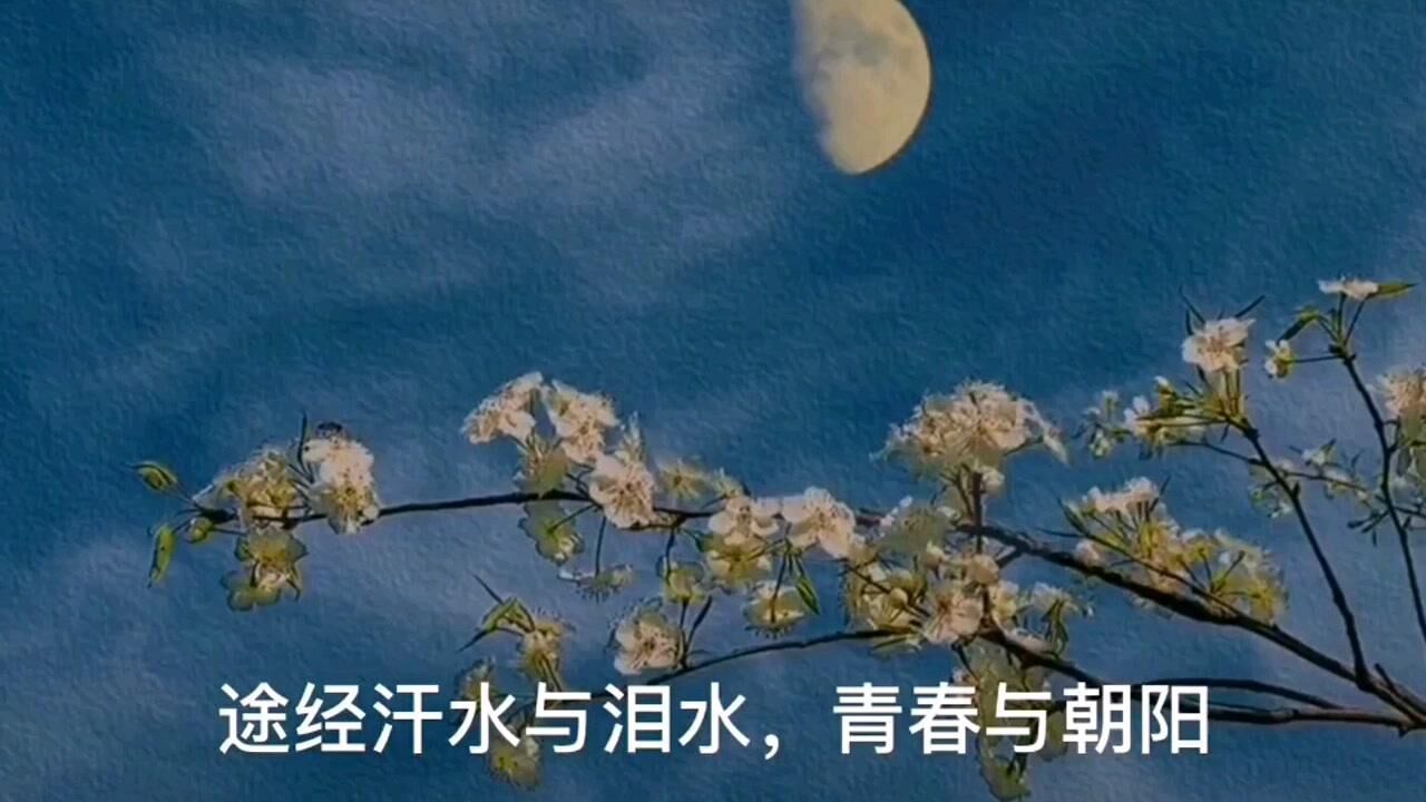 寻梦者介绍朗诵
