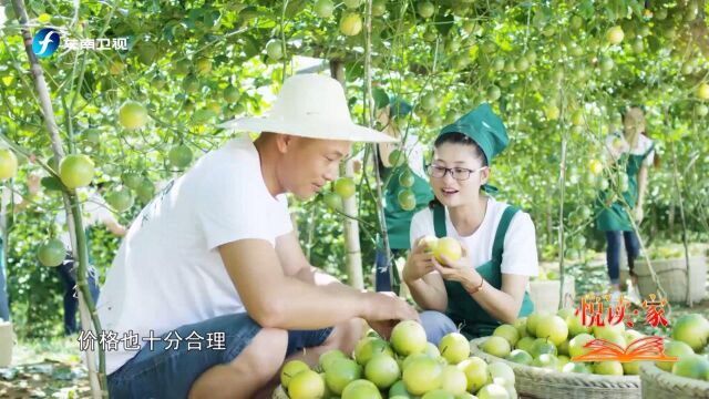 她用百香果助力武平的农户脱贫致富