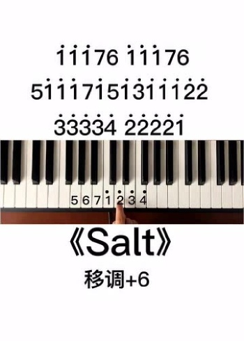 《salt》钢琴简谱教学