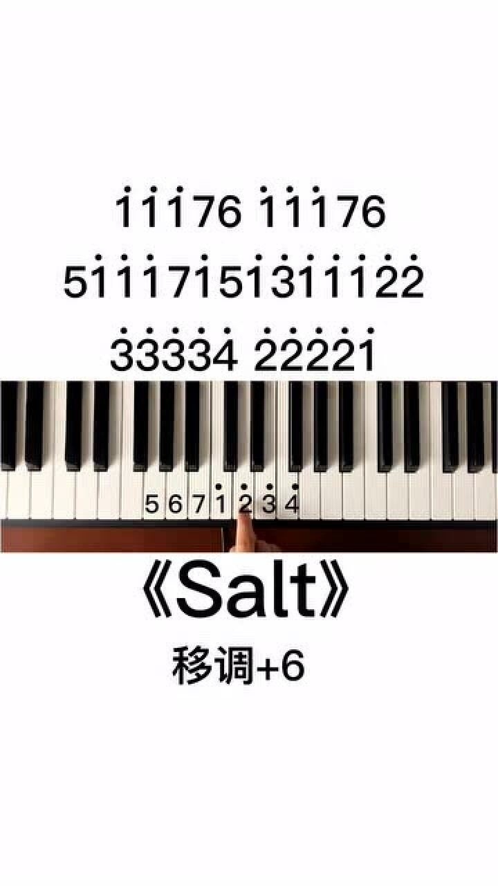 《salt》钢琴简谱教学