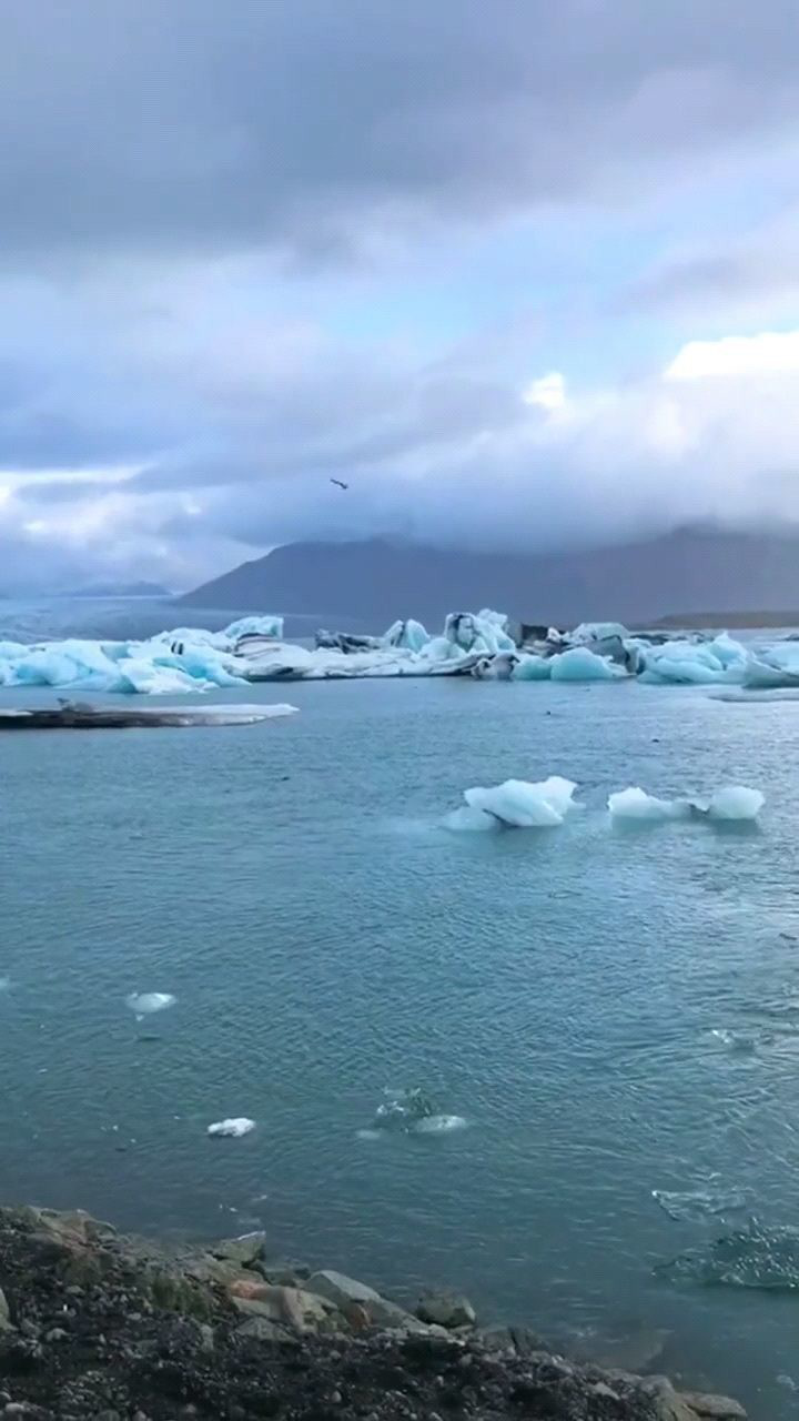 全球变暖导致冰岛的冰川逐年消融,请保护脆弱的生态环境