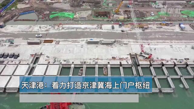 世界那么大丨天津港:着力打造京津冀海上门户枢纽