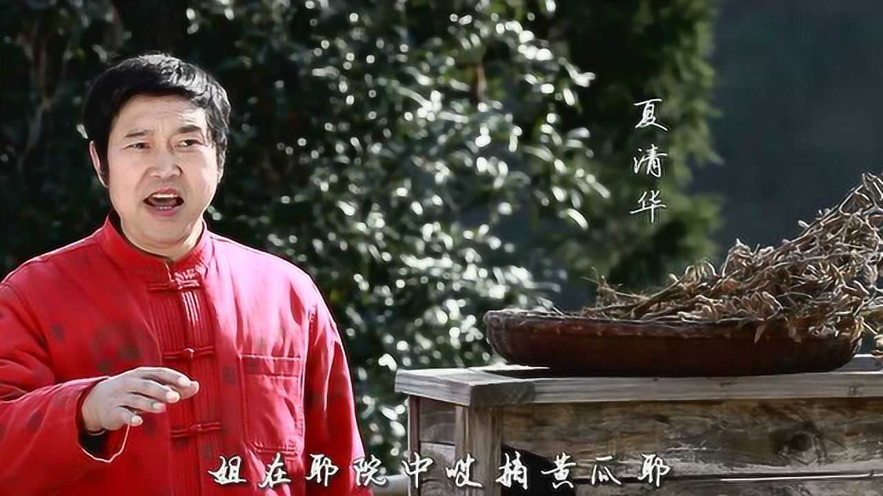 紫阳民歌夏清华专辑《摘黄瓜》