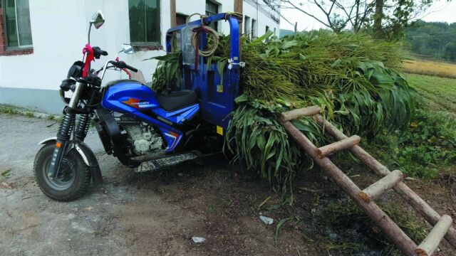 大叔花17000元,买回一辆宗申三轮车,大家猜猜老板赚了他多少钱