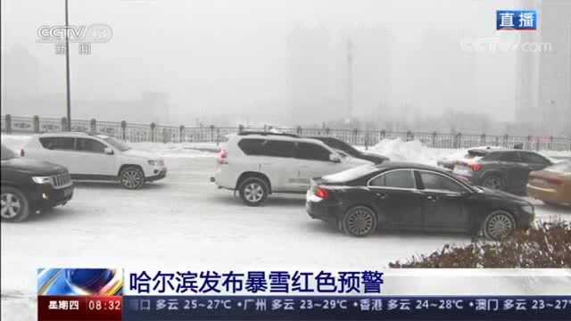 东北多地出现暴雪天气