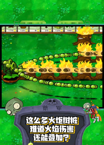 植物大战僵尸摆这么多火炬树桩难道火焰伤害还能叠加