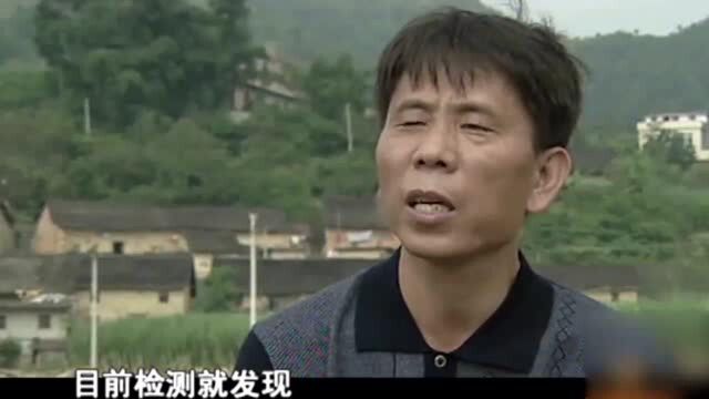 神秘乡村竟有多位百岁老人,原来水里面有大文章