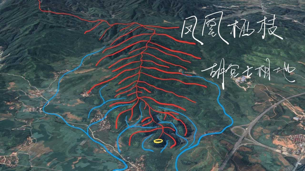 胡兑七喝形凤凰栖枝地发人丁出紫袍加身胡兑七留题来