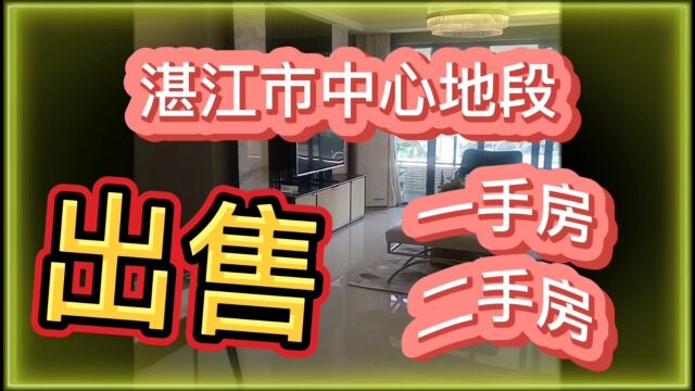 湛江市中心好地段精致装修学位房出售