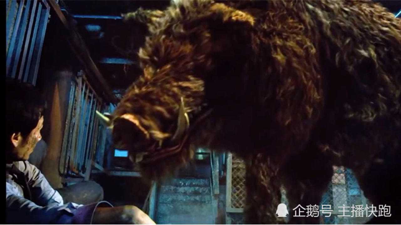 《食人猪》她只是想救孩子!她有什么错!