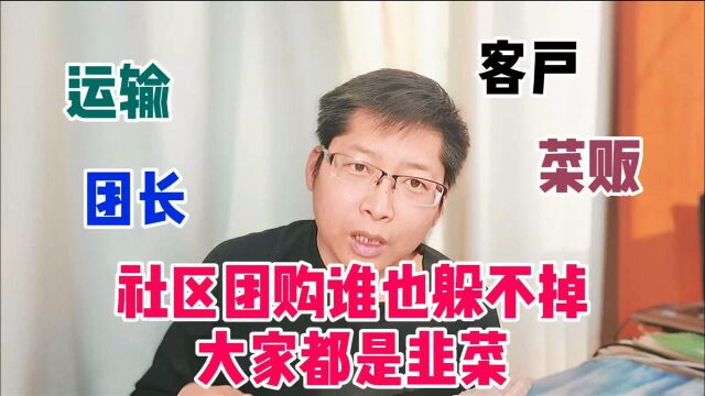 社区团购会是互联网大厂 有史以来最大战役 最终只会是巨头联手割韭菜