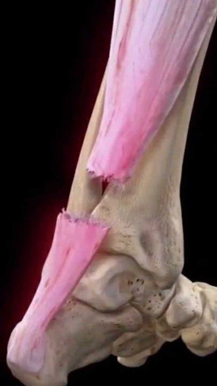 谢谢jio已经开始痛了