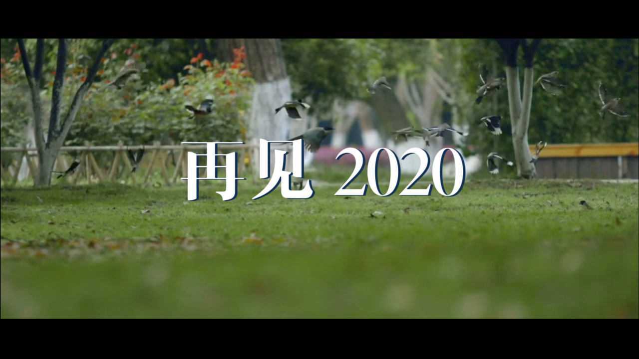再见2020_高清1080p在线观看平台_腾讯视频