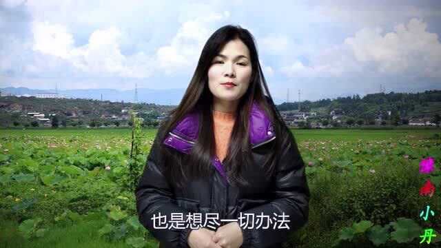 如何让农民住上豪宅?建设美丽乡村,让城市人羡慕的农村