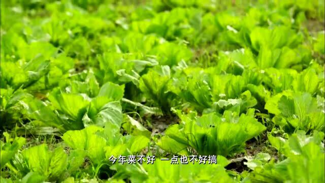 老广的味道:色香味俱全的,素炒三爽,看一眼就有食欲