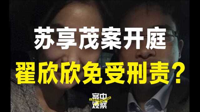 苏享茂案民事诉讼开庭,翟欣欣免受刑事追责?