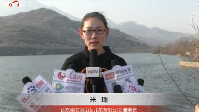 环球卫视走访泰安国山女儿茶