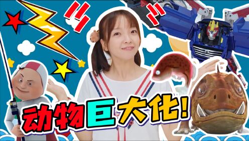 【神奇生物馆】巨大化!动物们为什么变大?这是我们的秘密!_少儿_动画片大全_腾讯视频